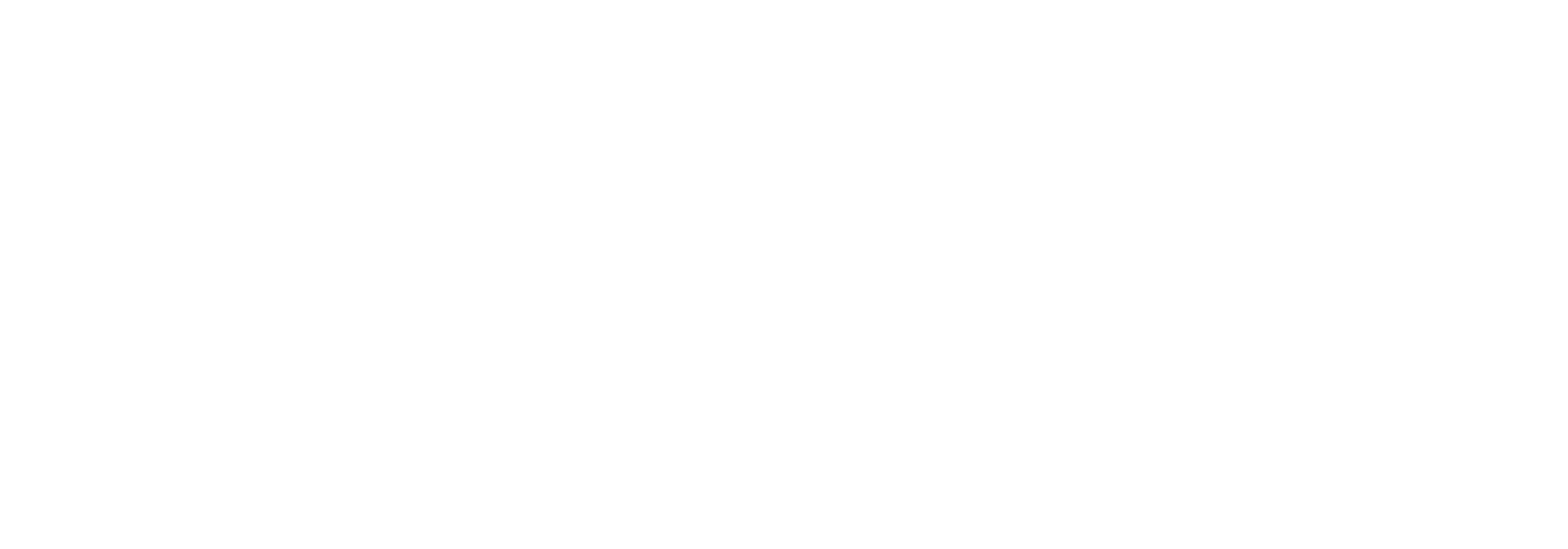 Firestorm Global